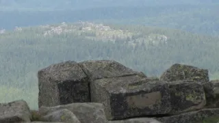Divočina bez hranic