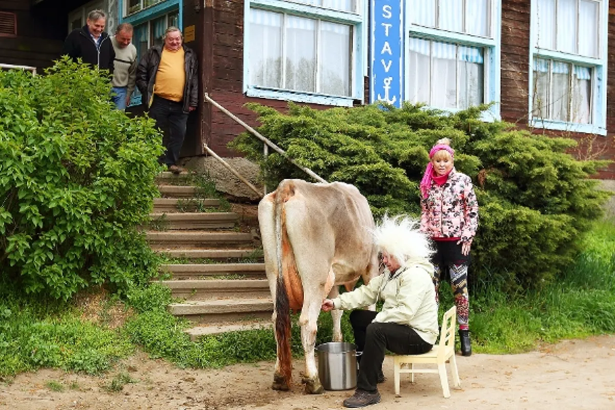 Přístav, 2015 - fotogaléria