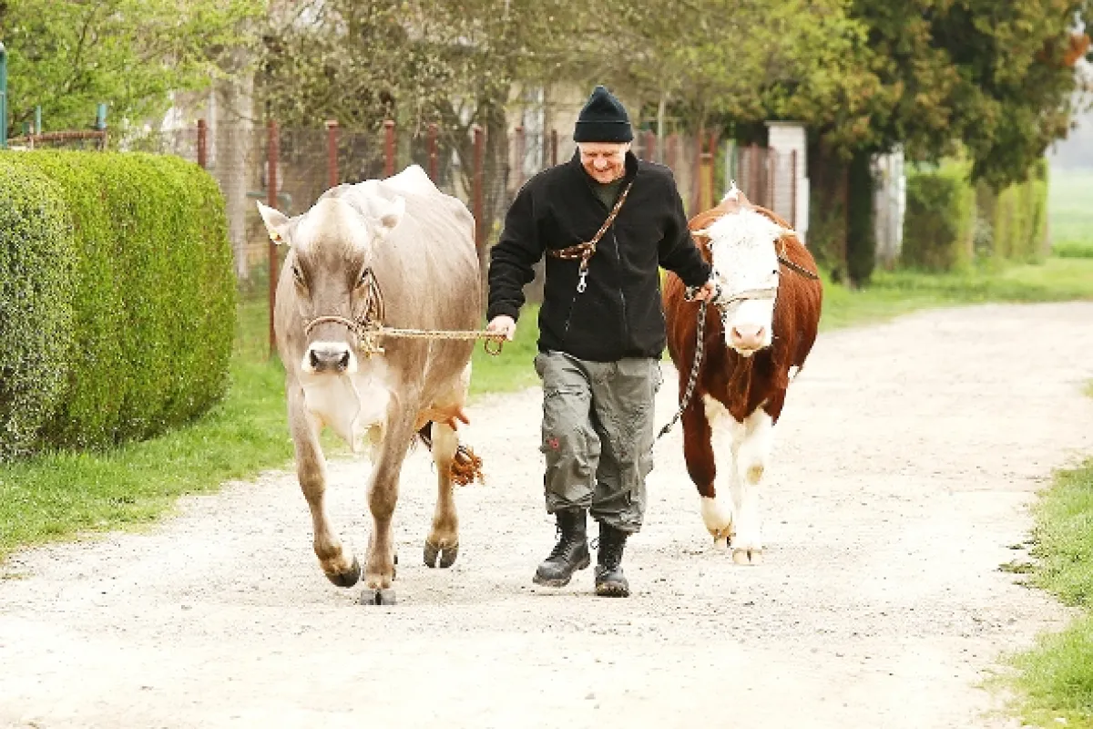 Přístav, 2015 - fotogaléria