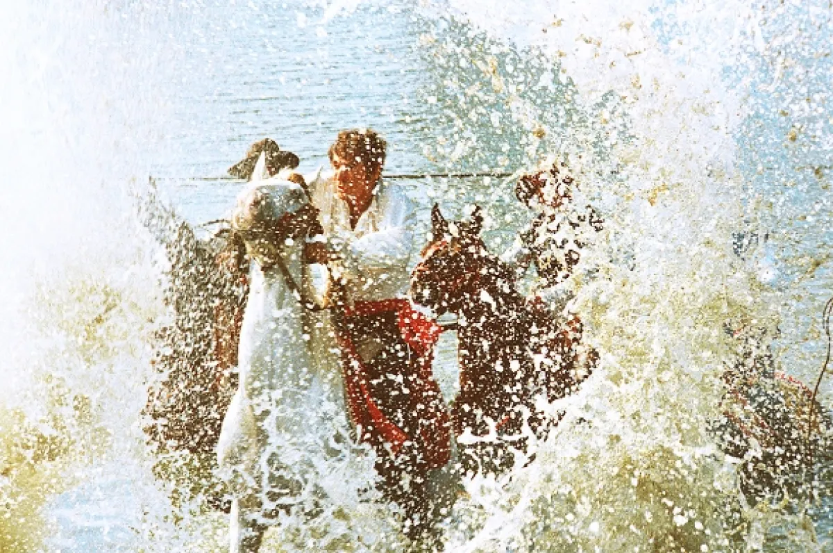 Neskrotná Angelika (Indomptable Angélique), 1967 - fotogaléria