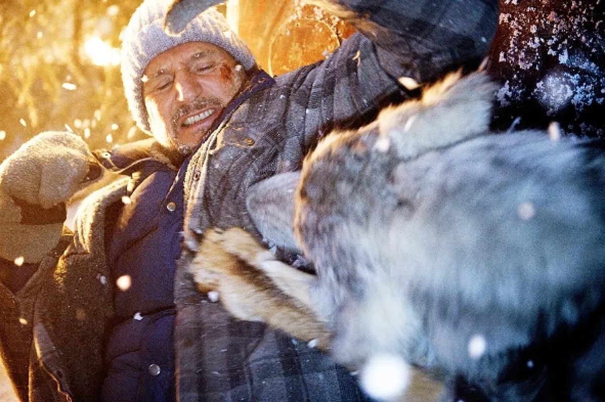 Medzi vlkmi (The Grey), 2011 - fotogaléria
