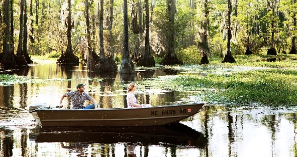 Jessabelle, 2014 - fotogaléria