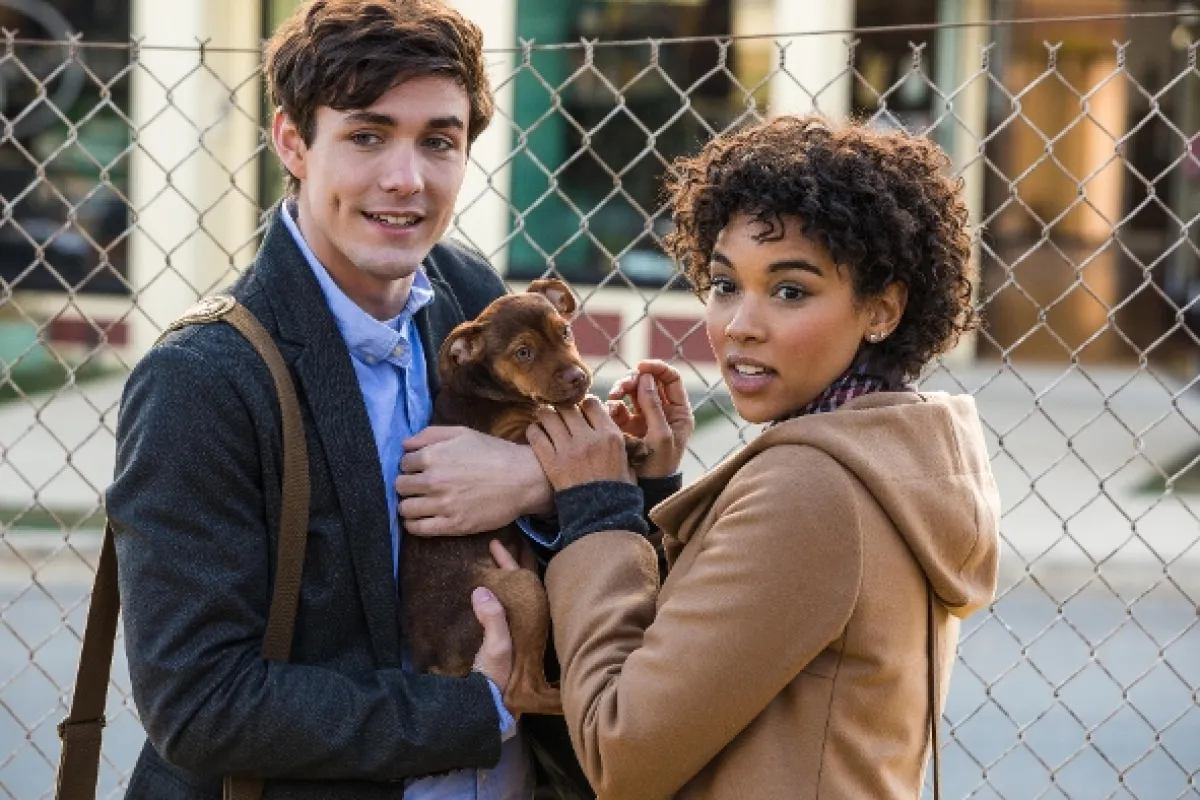 Psí domov (A Dog's Way Home), 2019 - fotogaléria