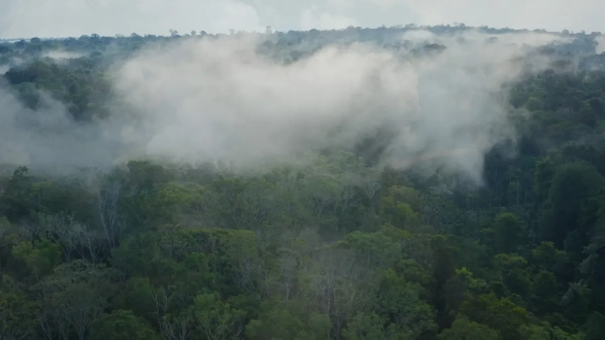 Rieky nad korunami stromov (Le mystére des riviéres volantes d’Amazonie), 2019 - fotogaléria