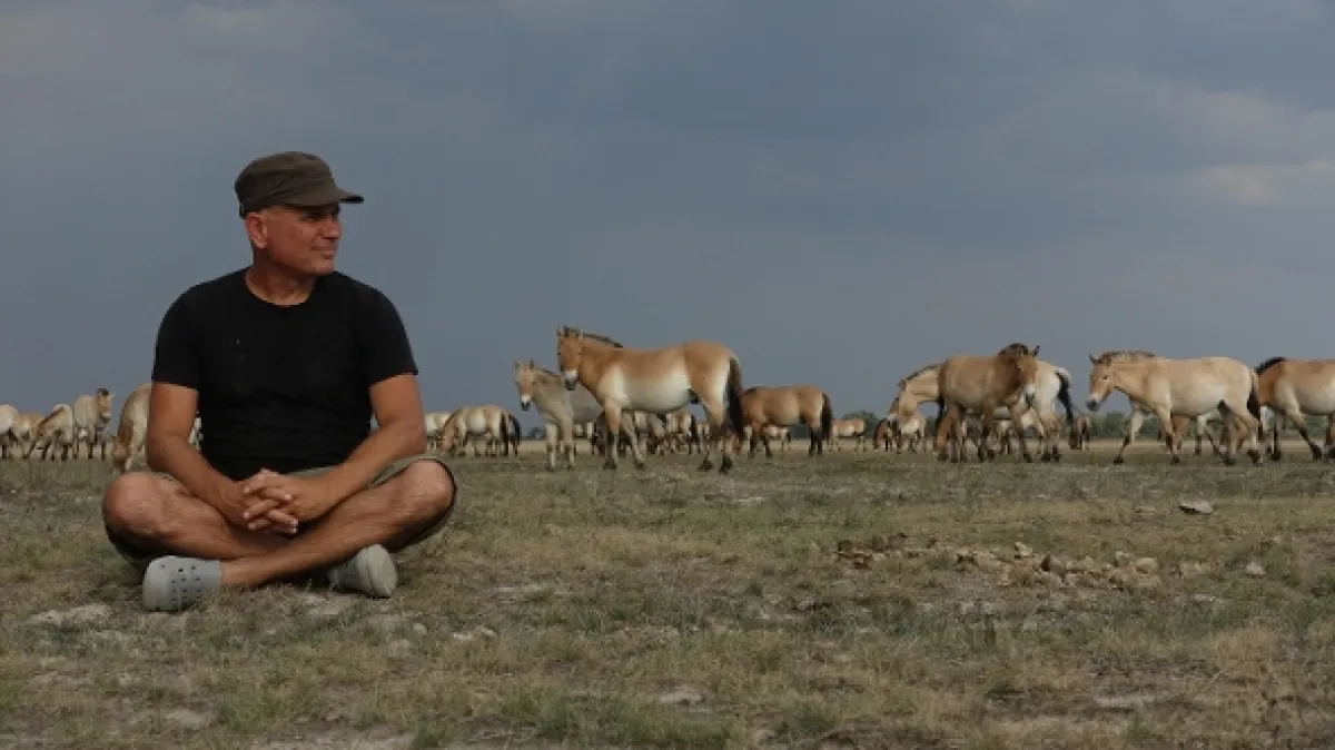 Divé kone: Príbeh z pusty (Wild Horses: A Tale from the Puszta), 2019 - fotogaléria