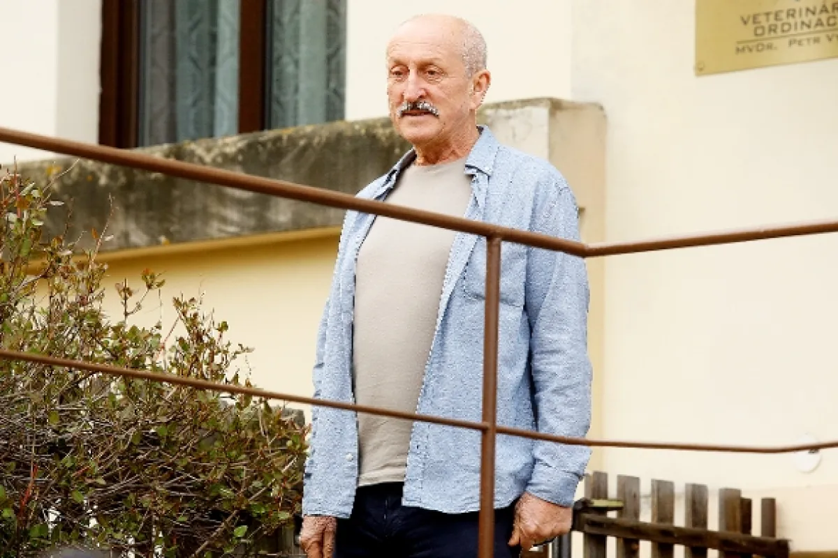 Krejzovi, 2018 - fotogaléria