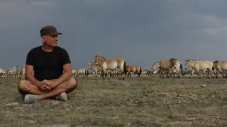 Divé kone: Príbeh z pusty