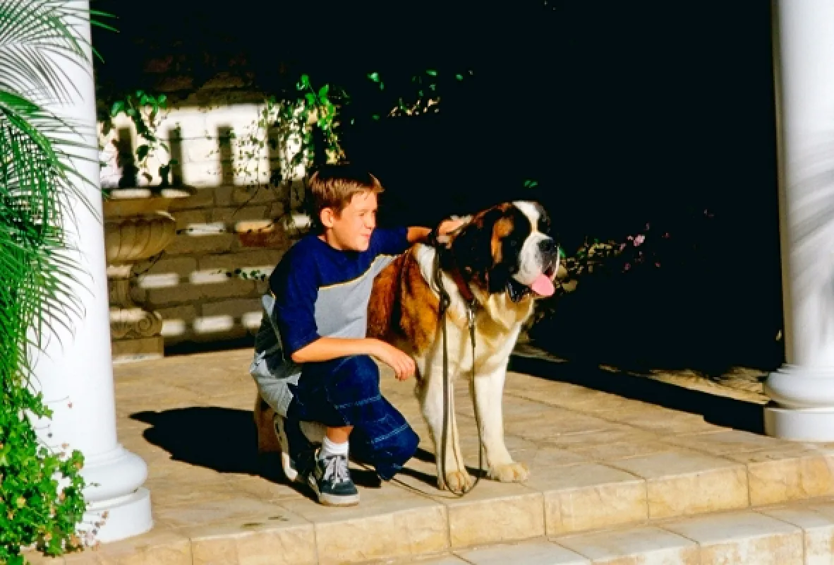 Beethoven 3 (Beethoven’s 3rd), 2000 - fotogaléria