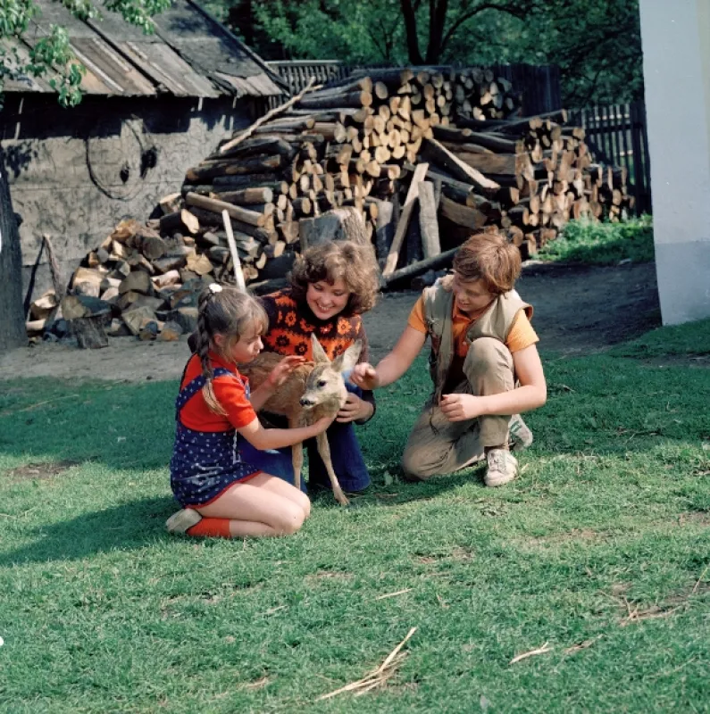 Tajemství proutěného košíku, 1977 - fotogaléria
