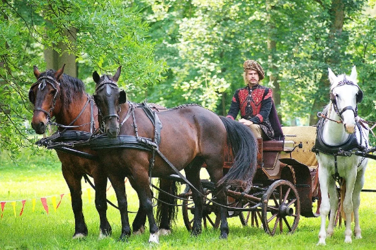 Když draka bolí hlava, 2018 - fotogaléria