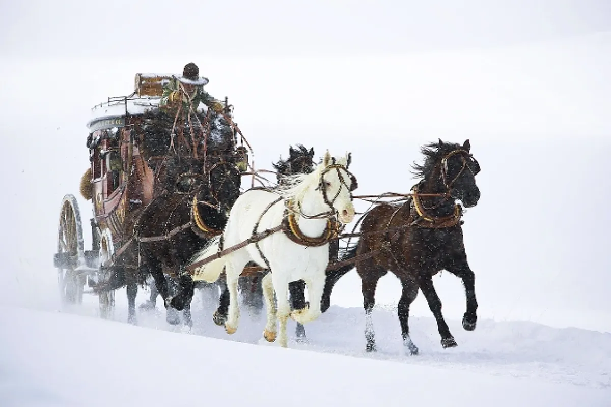 Osm hrozných (Hateful Eight, The), 2015 - fotogaléria