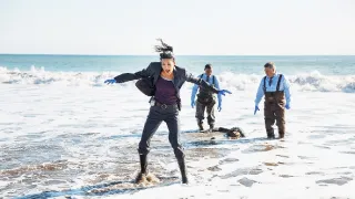 Rizzoli & Isles: Vraždy na pitevně IV (2)