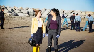 Rizzoli & Isles: Vraždy na pitevně IV (2)