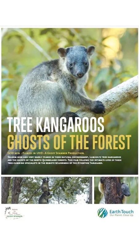 Stromové kengury: Duchovia lesa (Tree Kangaroos: Ghosts of the Forest), 2021 - fotogaléria