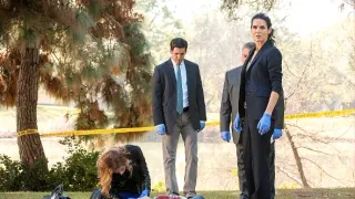 Rizzoli & Isles: Vraždy na pitevně V (1)