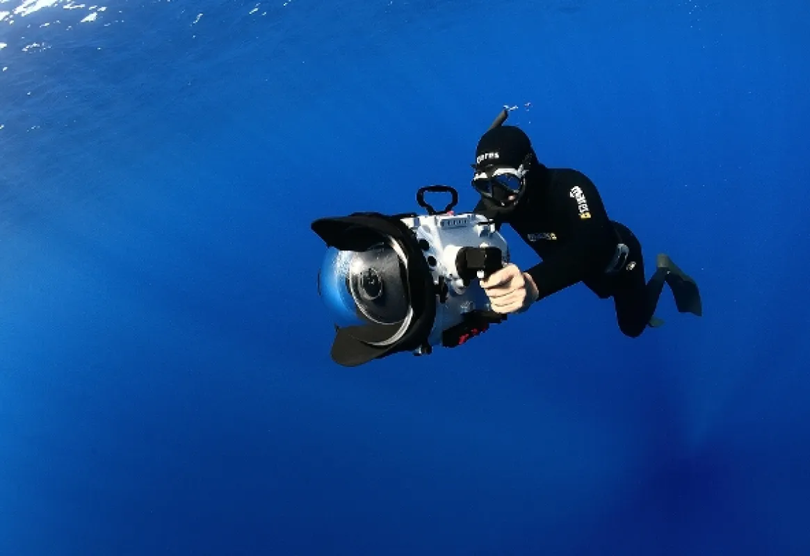 Úžasný morský život (Life in the Blue), 2016 - fotogaléria