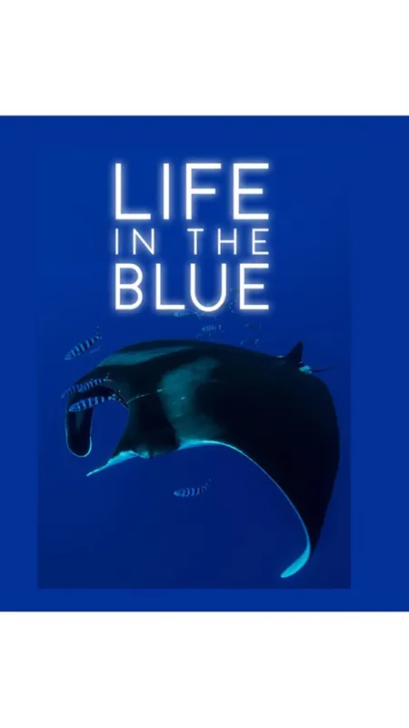 Úžasný morský život (Life in the Blue), 2016 - fotogaléria