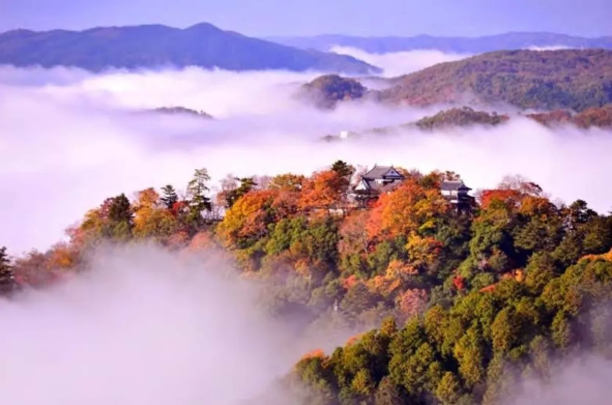Japonsko: Čaro ročných období (Japan: Sense of Seasons), 2020 - fotogaléria