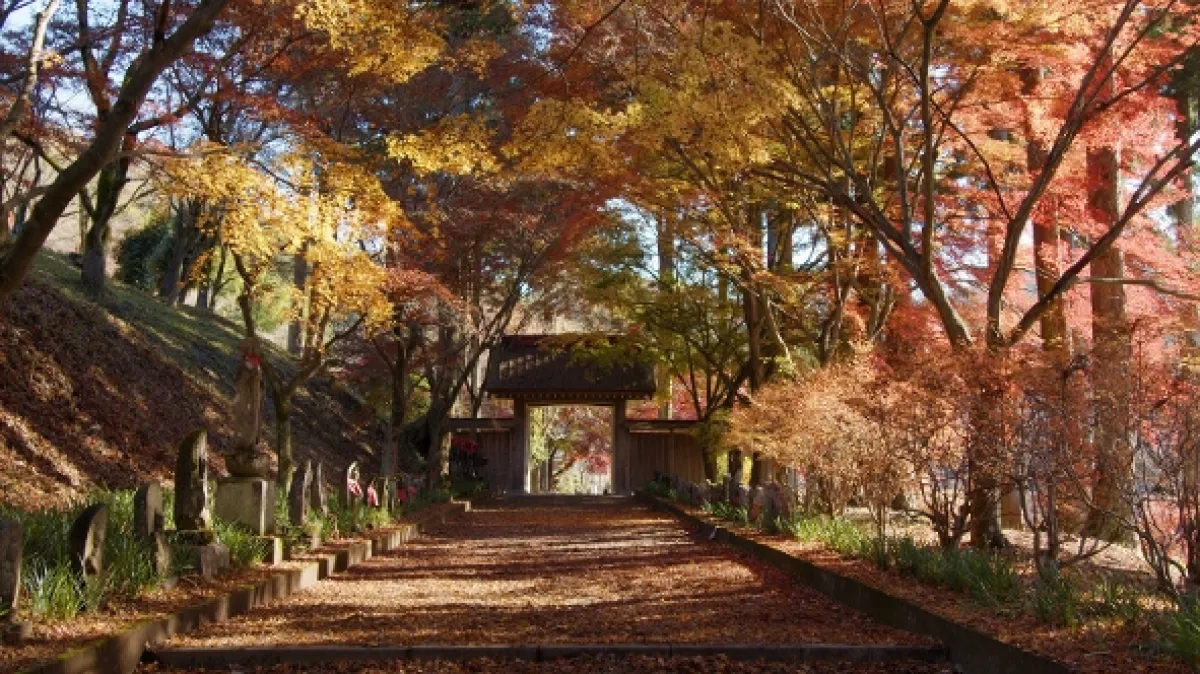 Japonsko: Čaro ročných období (Japan: Sense of Seasons), 2020 - fotogaléria