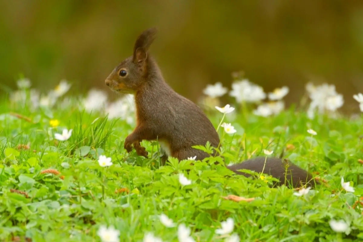 Jarné príbehy (Springtime Stories), 2015 - fotogaléria