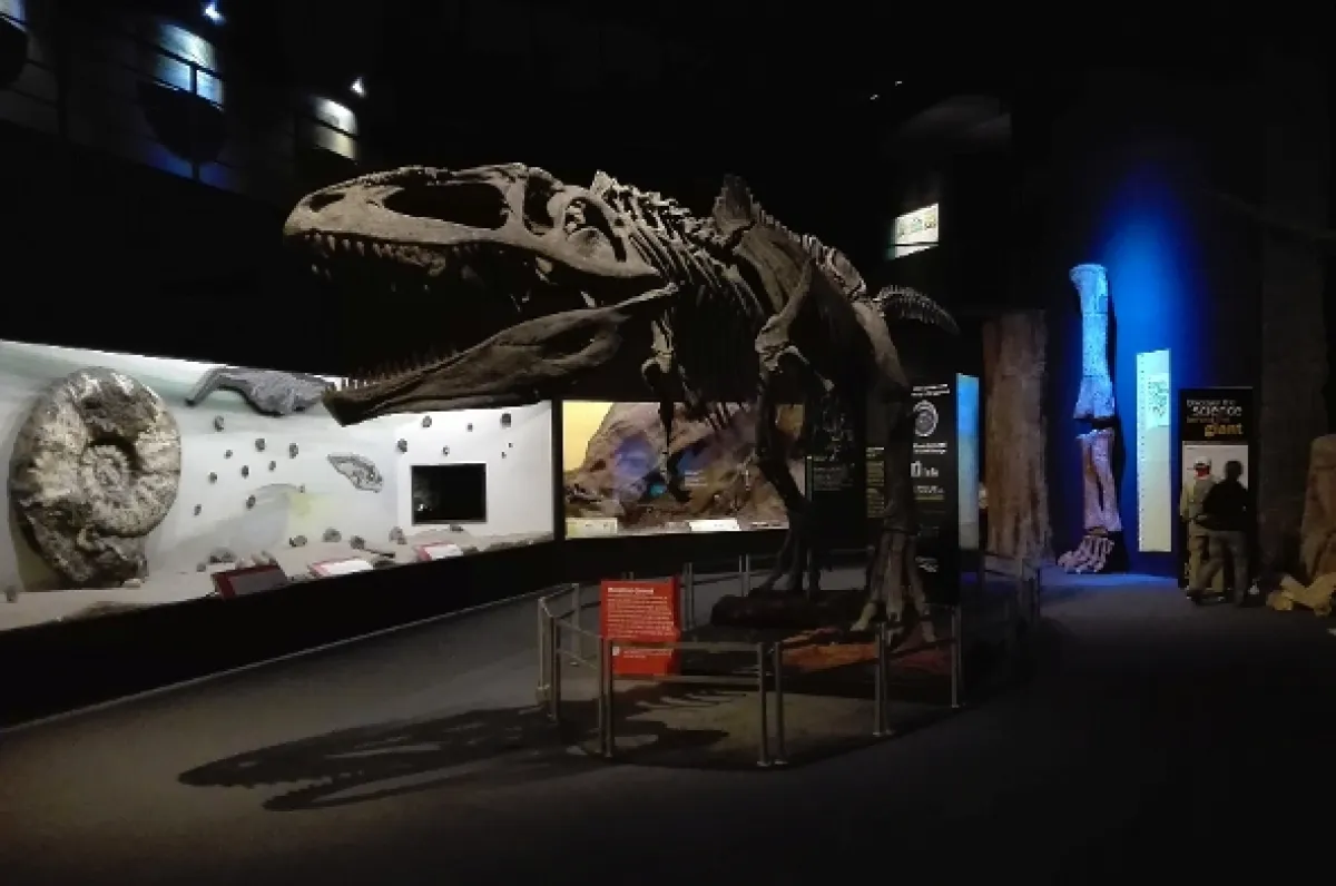 Na ceste po severnej Patagónii, 2018 - fotogaléria