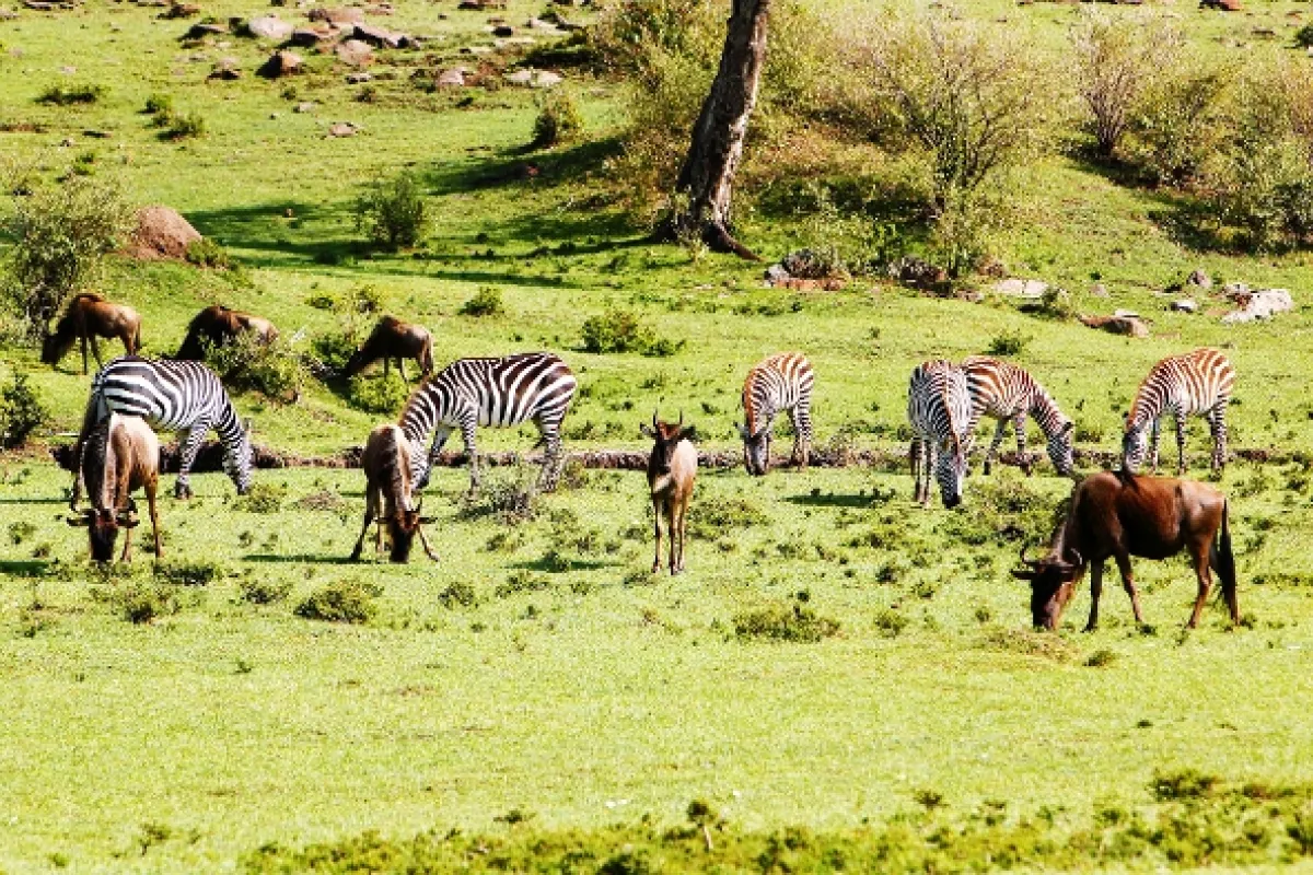 Dobrodruh, 2015 - fotogaléria