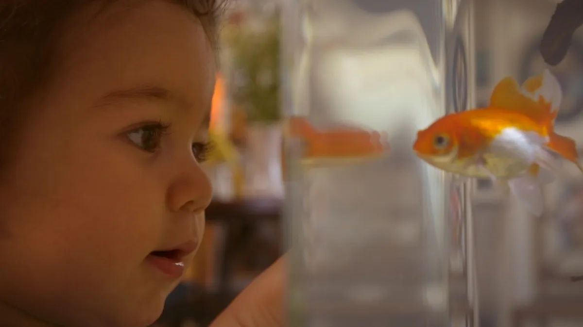 Čo vedia ryby (Des Poissons pas si cons?), 2023 - fotogaléria