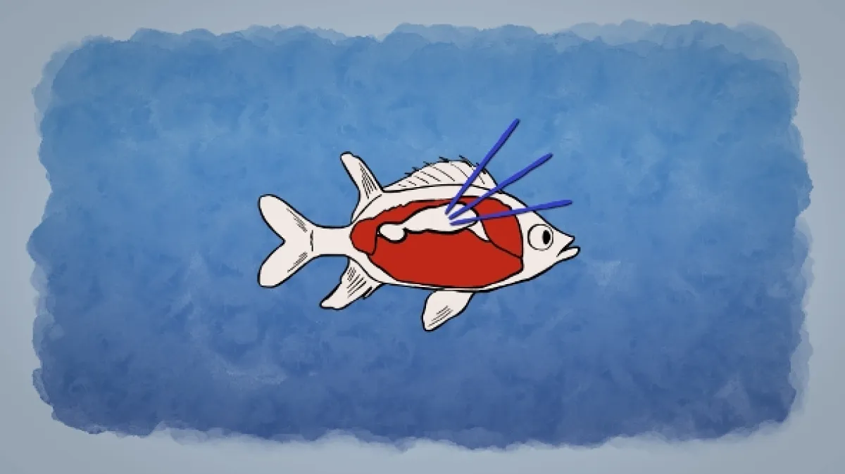 Čo vedia ryby (Des Poissons pas si cons?), 2023 - fotogaléria