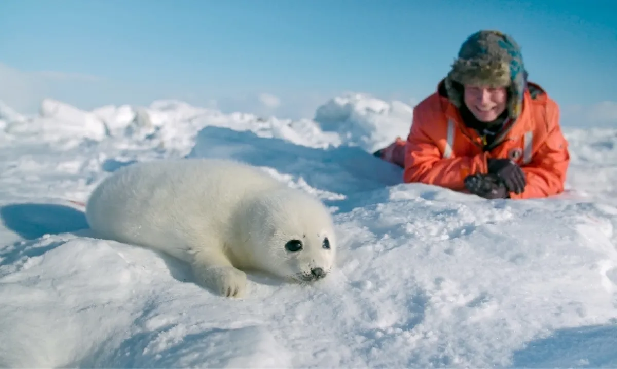 Ako prežiť mráz v divočine (Wild Life: The Big Freeze), 2019 - fotogaléria