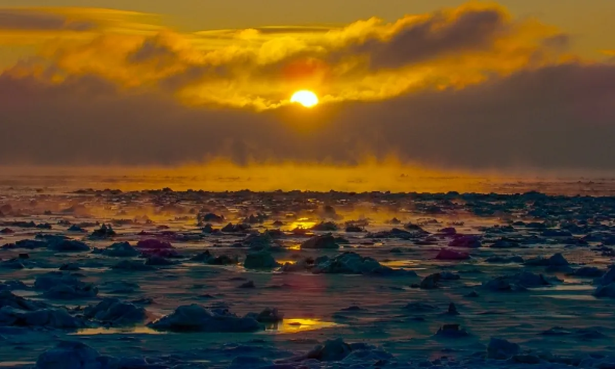 Ako prežiť mráz v divočine (Wild Life: The Big Freeze), 2019 - fotogaléria