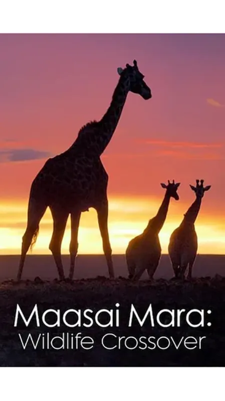 Masai Mara: Křižovatka divočiny, 2020 - fotogaléria