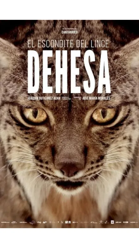 Dehesa: Les rysa iberského (Dehesa – Forest of the Iberian Lynx), 2020 - fotogaléria