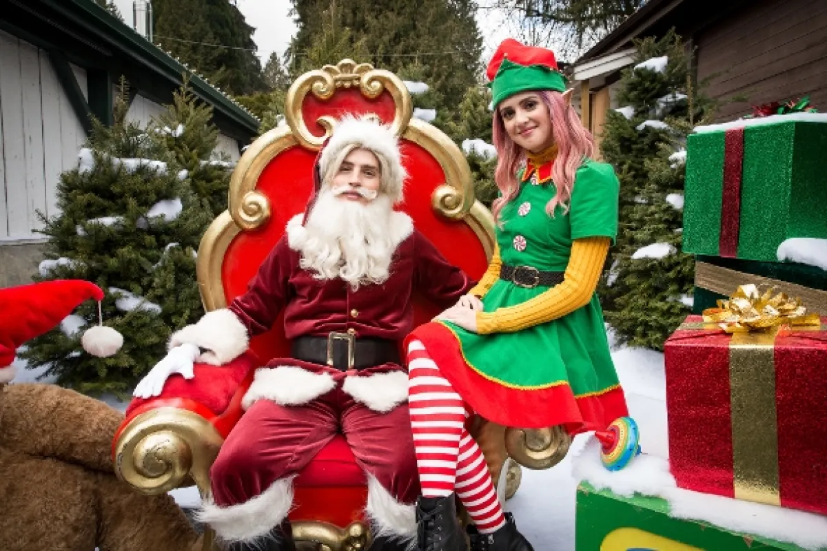 Popoluška: Vianočné želanie (A Cinderella Story: Christmas Wish), 2019 - fotogaléria