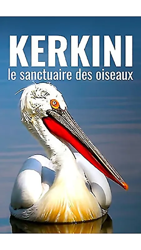 Raj vtákov na jazere Kerkini (Kerkini: A Greek Bird Haven), 2023 - fotogaléria