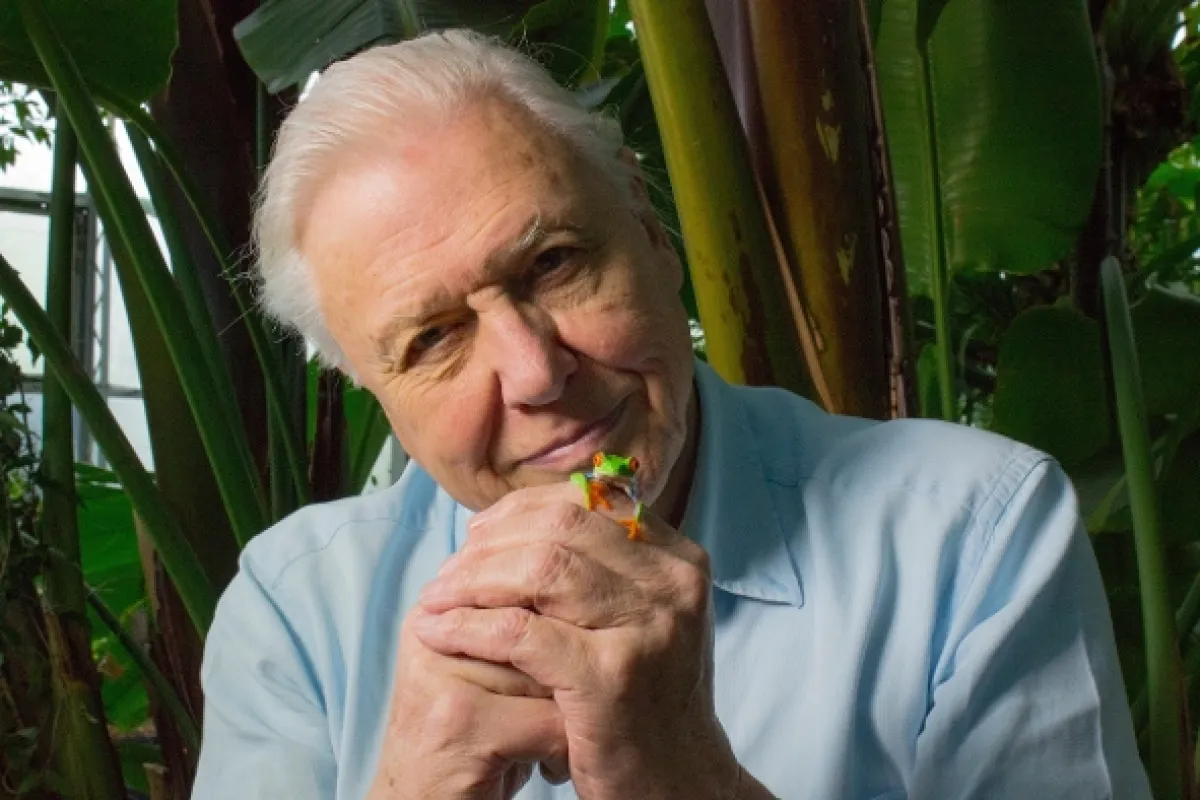David Attenborough: Úžasné žaby (Attenborough’s Fabulous Frogs), 2014 - fotogaléria