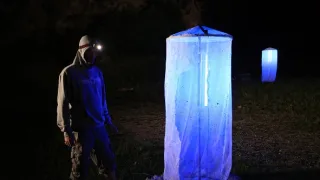 Tajemný svět luk