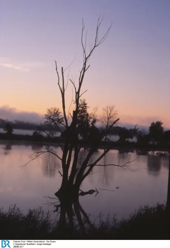 Píseň Dunaje (The Voice of the Danube), 2016 - fotogaléria