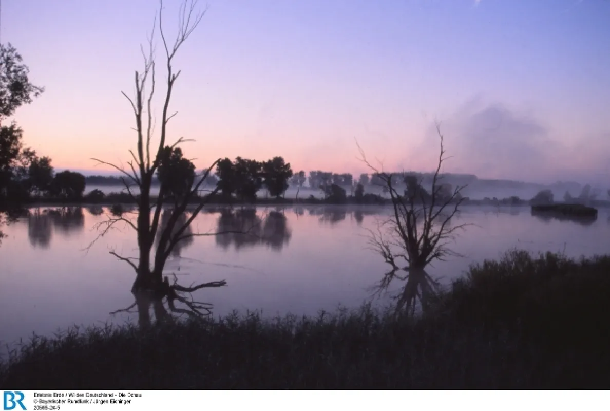 Píseň Dunaje (The Voice of the Danube), 2016 - fotogaléria