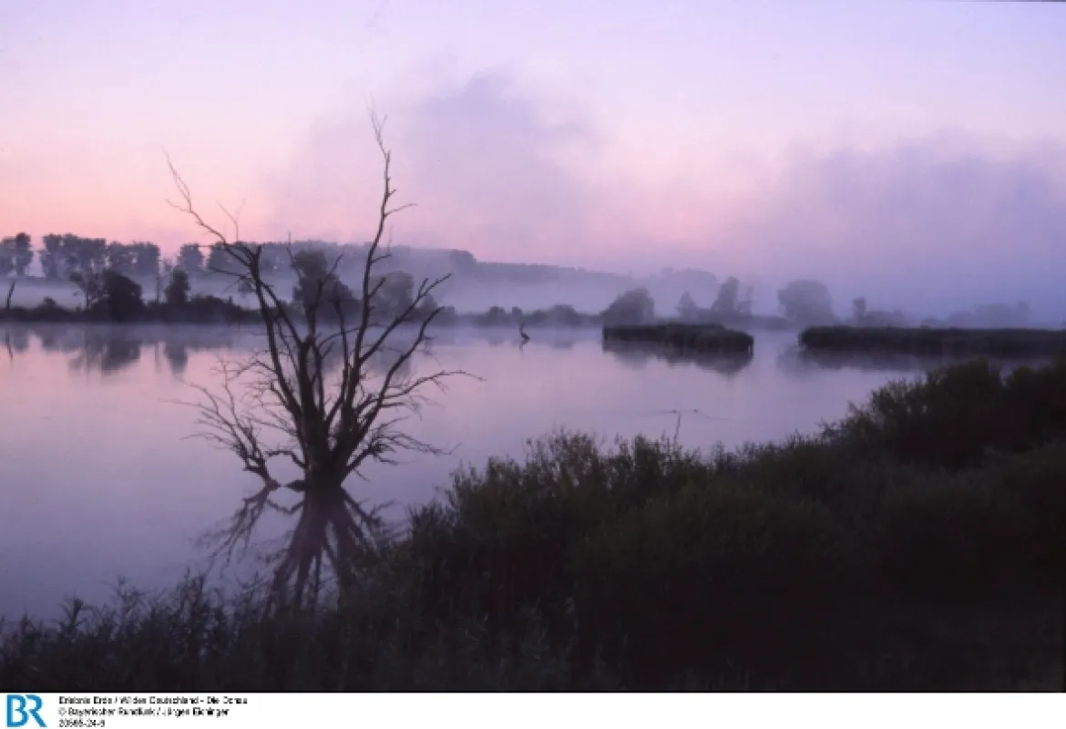 Píseň Dunaje (The Voice of the Danube), 2016 - fotogaléria