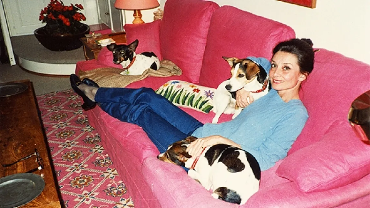 Audrey, 2020 - fotogaléria