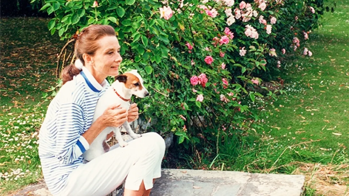 Audrey, 2020 - fotogaléria