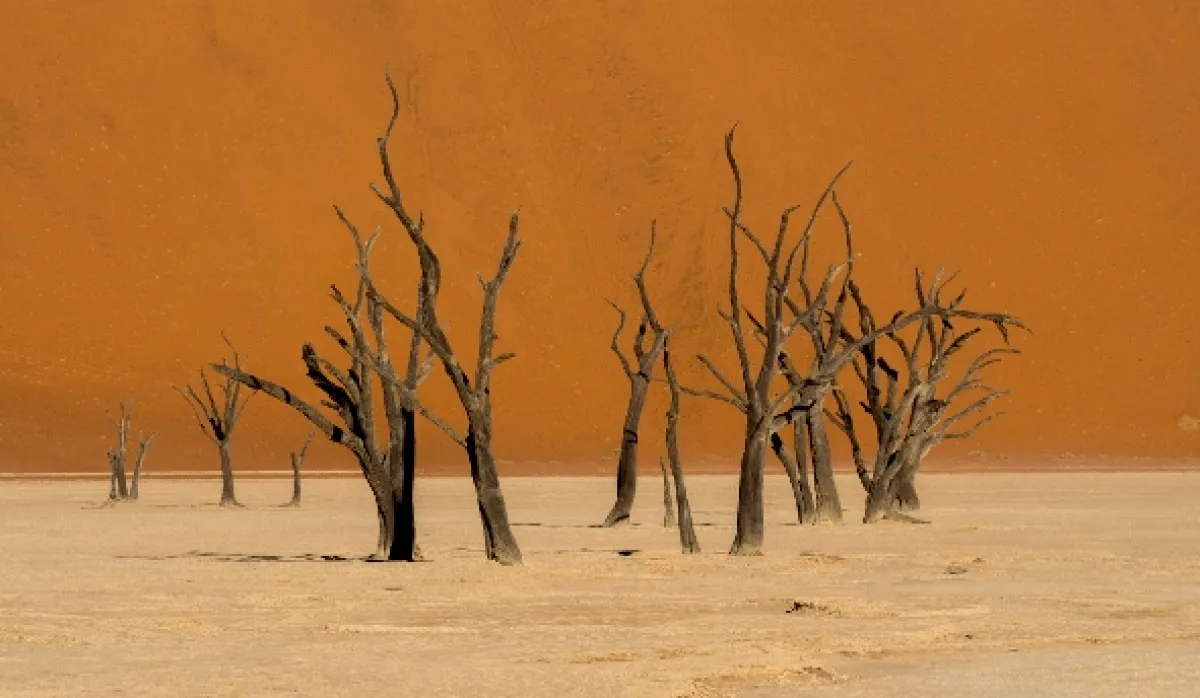 Neobyčejné ekosystémy (Extraordinary Ecosystems), 2022 - fotogaléria