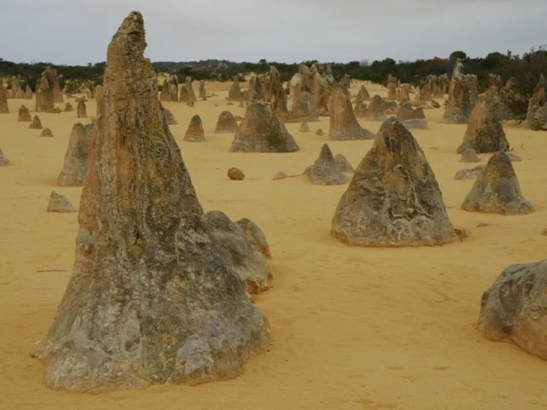 Neobyčejné ekosystémy (Extraordinary Ecosystems), 2022 - fotogaléria