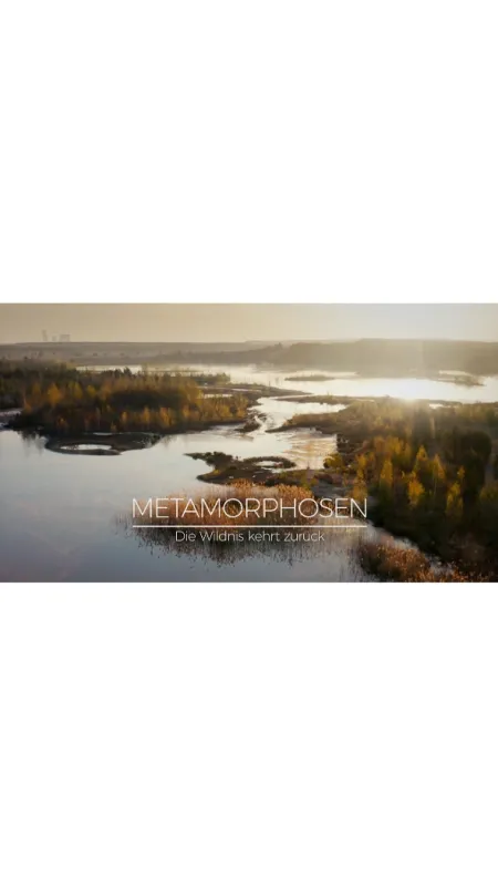 Metamorfózy: Návrat divočiny, 2020 - fotogaléria