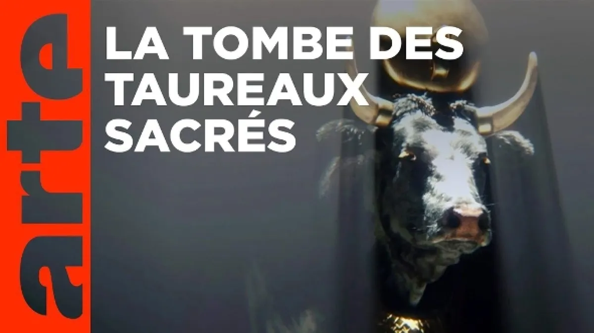 Poklad hrobu posvátných býků (Egypt: The Treasure of the Sacred Bulls), 2022 - fotogaléria