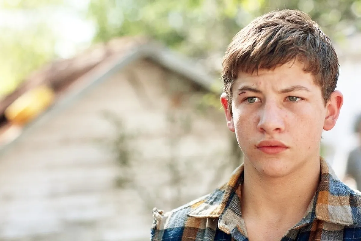 Joe, 2013 - fotogaléria