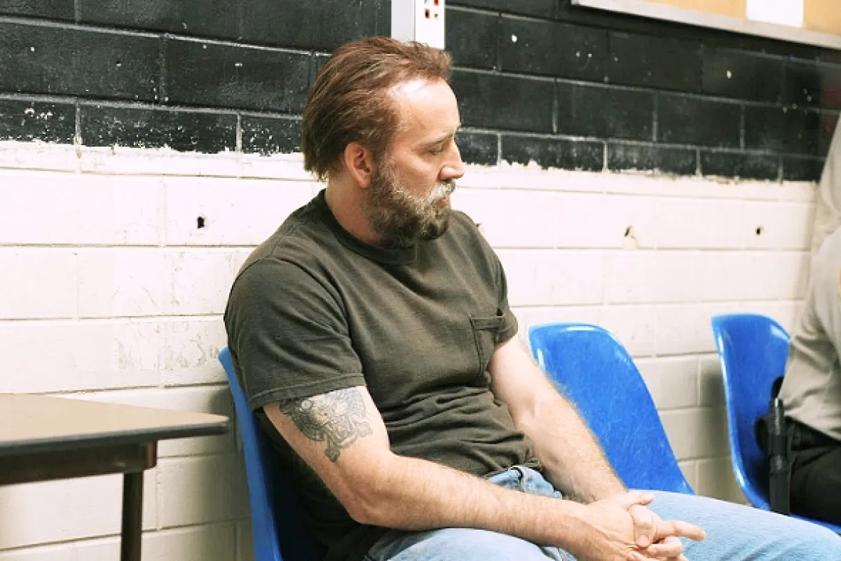 Joe, 2013 - fotogaléria