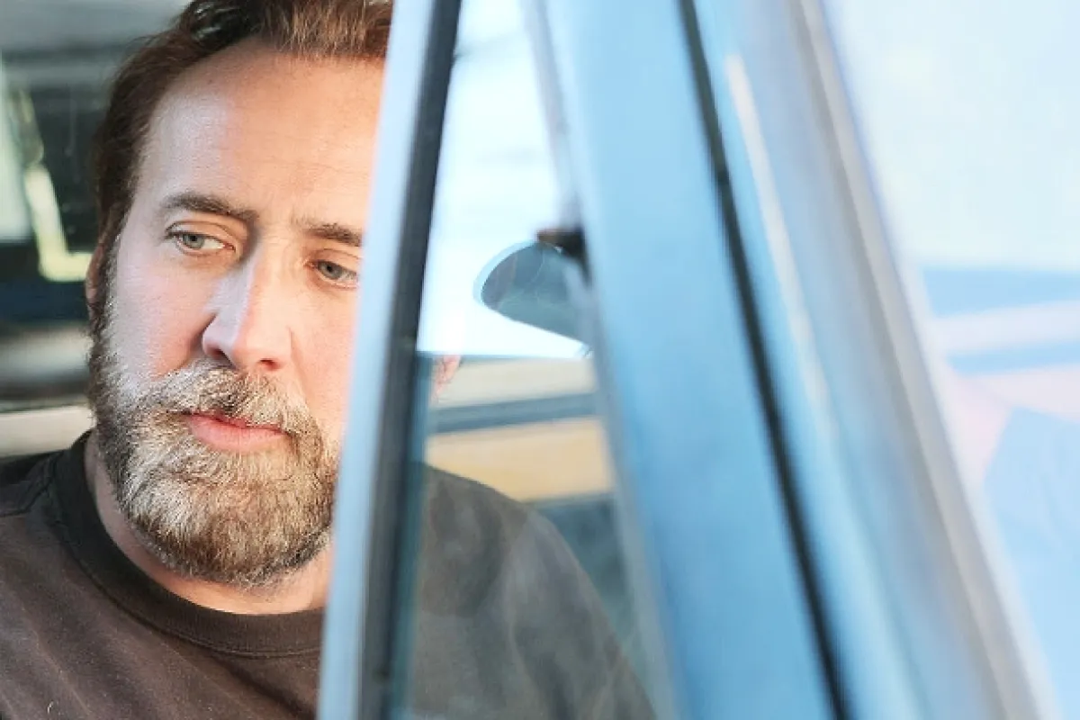 Joe, 2013 - fotogaléria