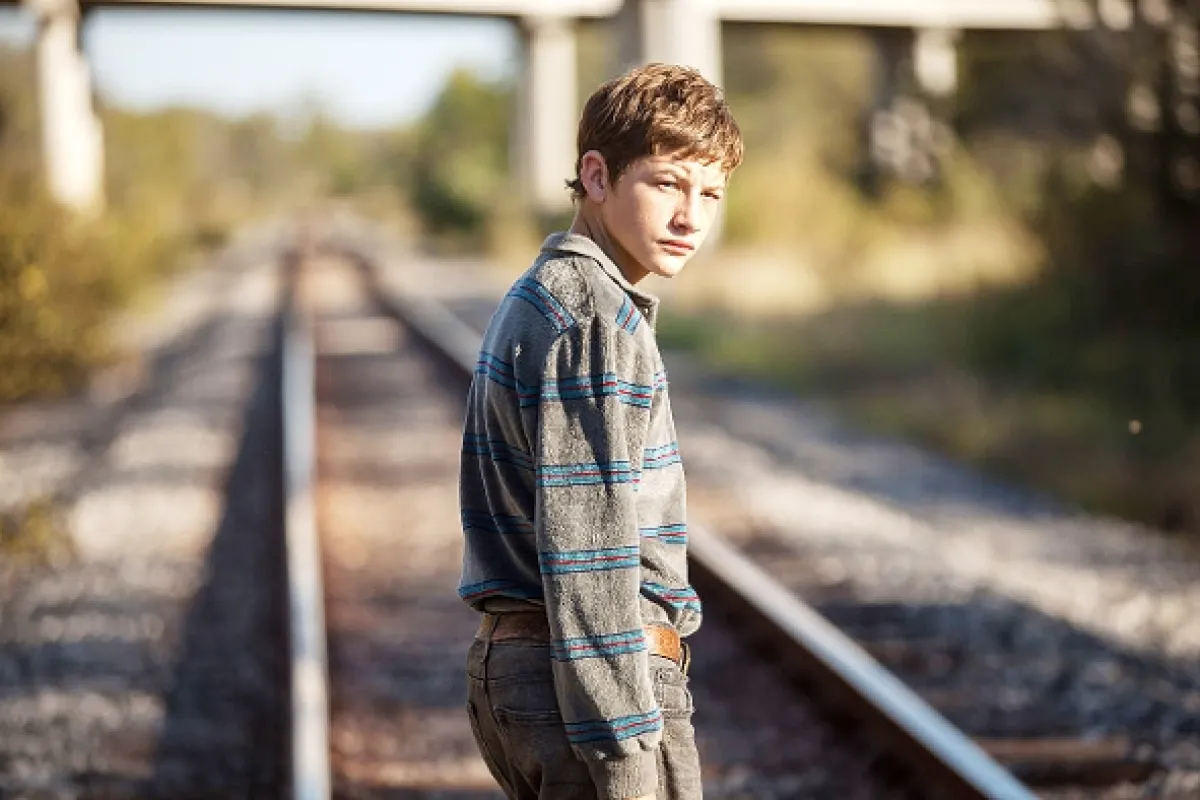 Joe, 2013 - fotogaléria