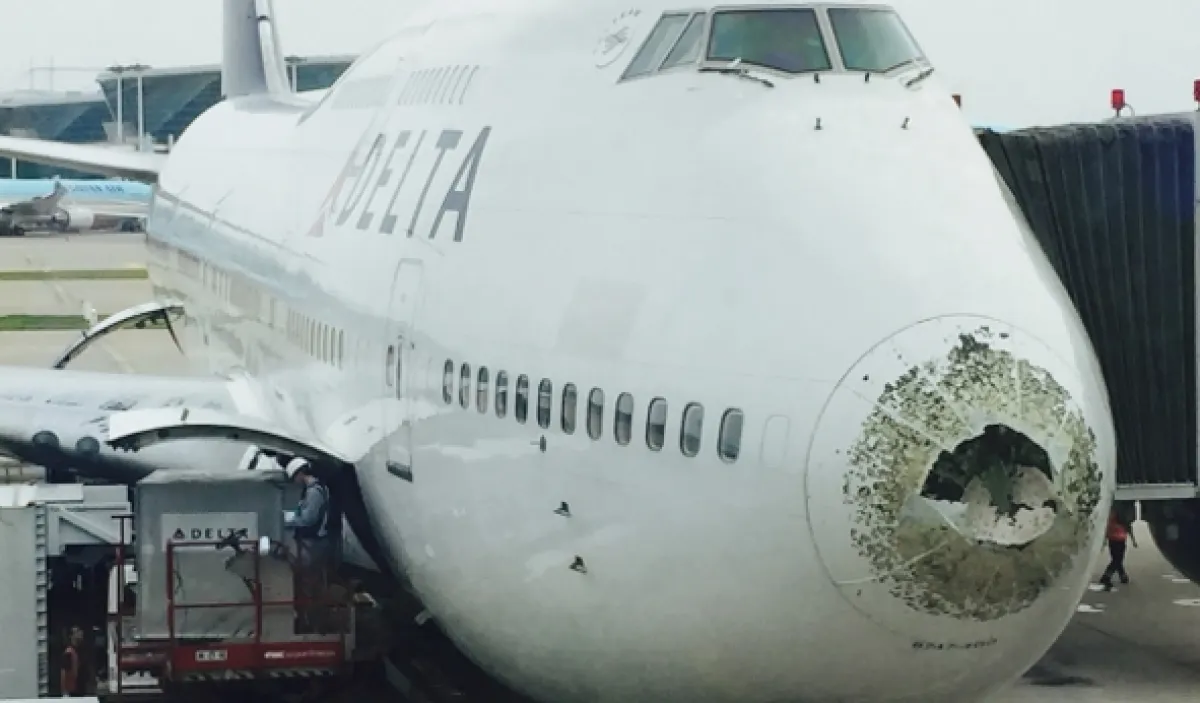 Hrôzostrašné pristátia (Super Scary Plane Landings), 2022 - fotogaléria